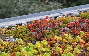 the cost of Tallington green roof installation