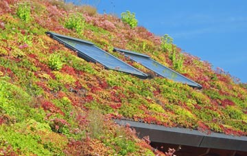 Tallington living roof systems